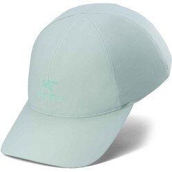 Arcteryx Bird Word Cap in Stone Green